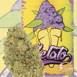 Gelato Hidropónica